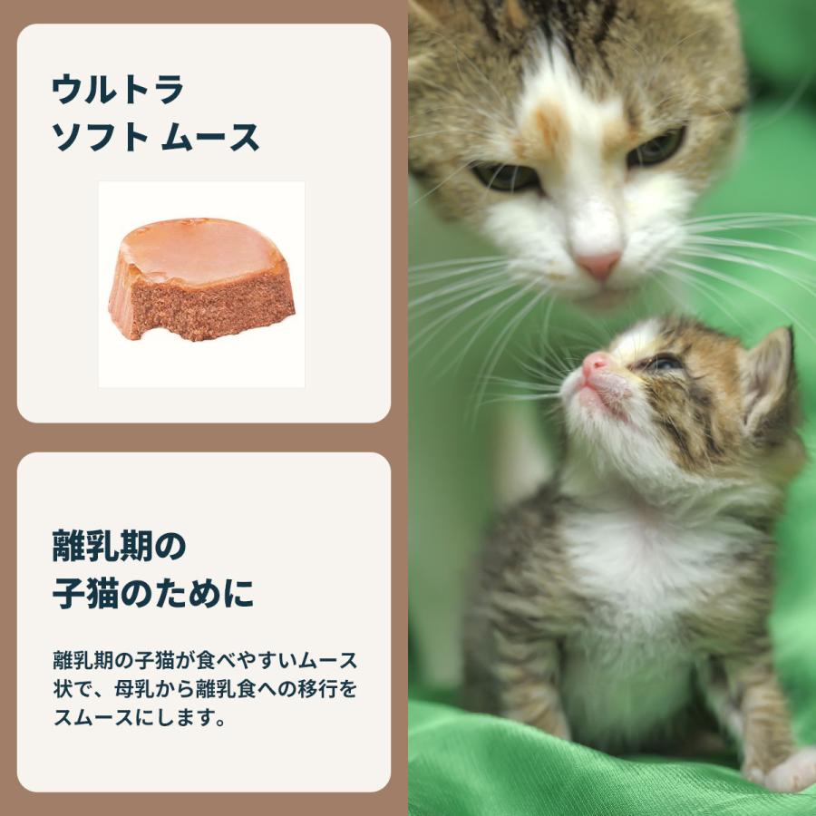 ロイヤルカナン（ROYAL CANIN） 猫 キャットフード ウェットフード
