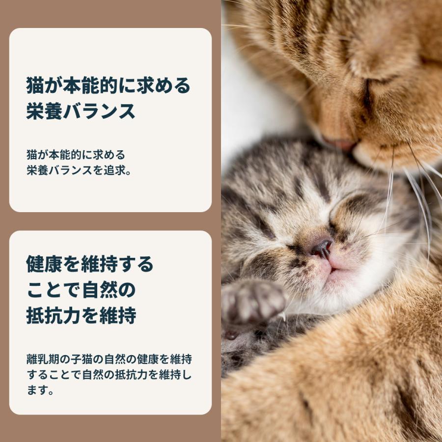 ロイヤルカナン（ROYAL CANIN） 猫 キャットフード ウェットフード