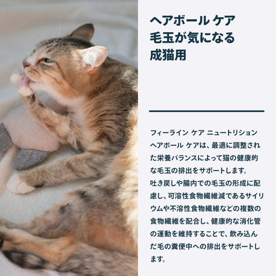 ロイヤルカナン（ROYAL CANIN） 猫 キャットフード ウェットフード