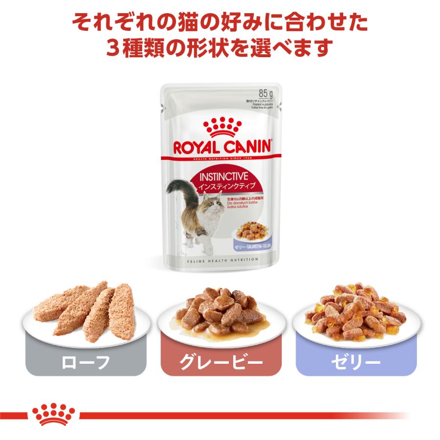 ロイヤルカナン（ROYAL CANIN） 猫 キャットフード ウェットフード