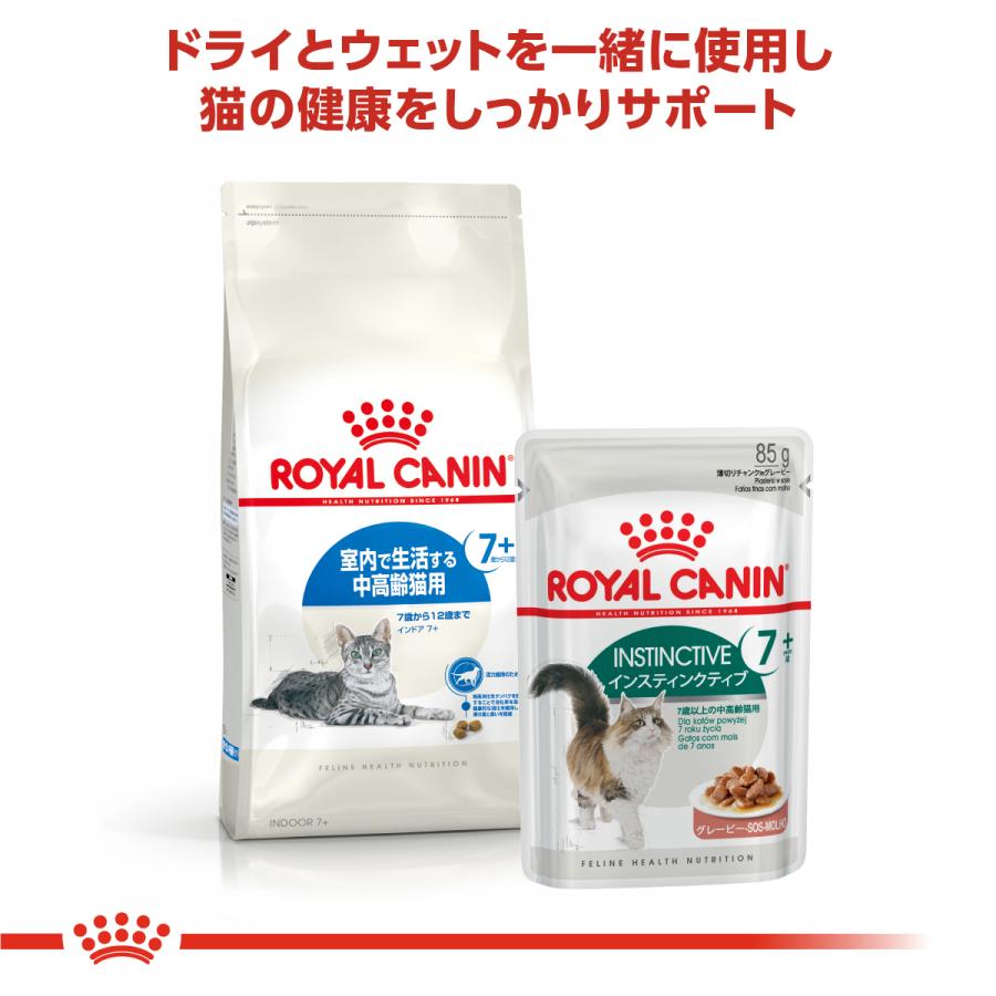 ロイヤルカナン（ROYAL CANIN） 猫 キャットフード ウェットフード