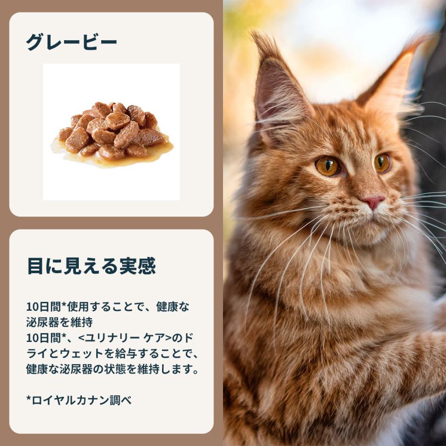 ロイヤルカナン（ROYAL CANIN） 猫 キャットフード ウェットフード