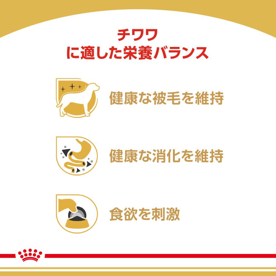 ロイヤルカナン（ROYAL CANIN） 犬 ドッグフード ウェット チワワ専用