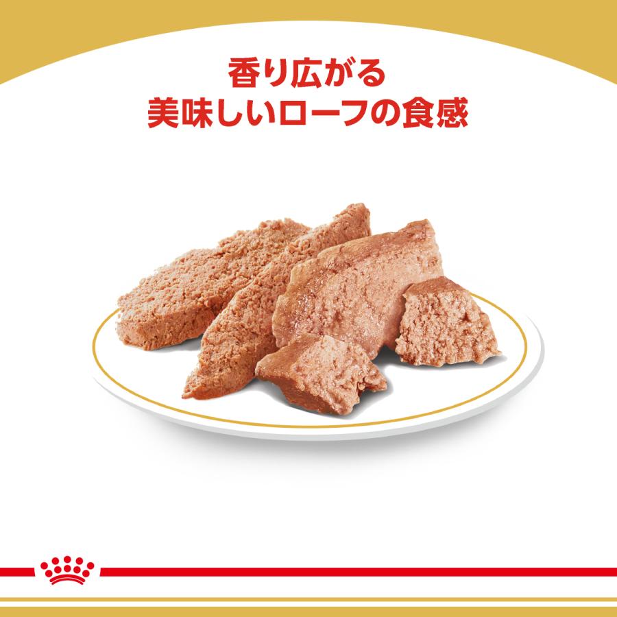 ロイヤルカナン（ROYAL CANIN） 犬 ドッグフード ウェット チワワ専用