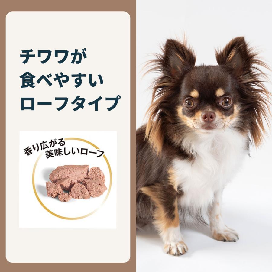 新品 ロイヤルカナン　チワワ　成犬用 １２kg ロイヤルカナン BHN チワワ (成犬用)｜みんなのペット健康専門店