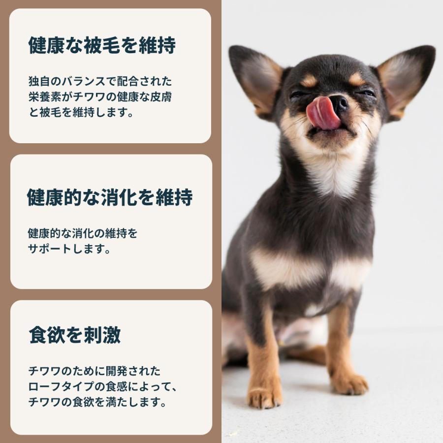 ロイヤルカナン（ROYAL CANIN） 犬 ドッグフード ウェット チワワ専用