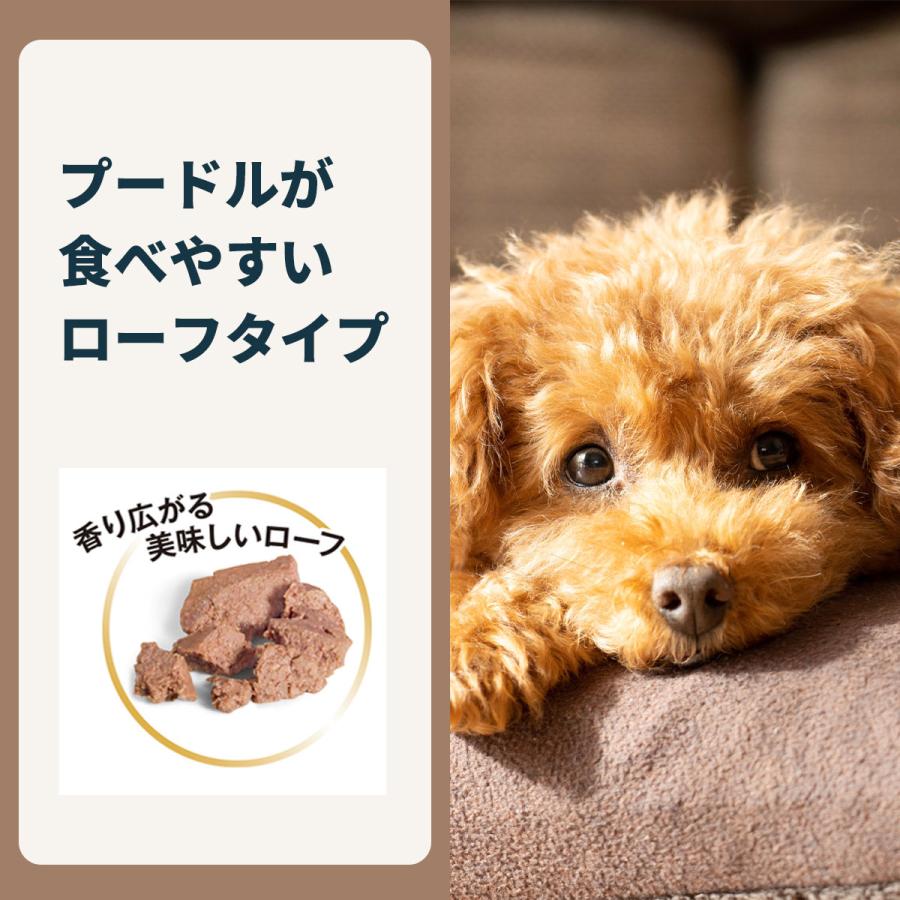 ロイヤルカナン（ROYAL CANIN） 犬 ドッグフード ウェット プードル