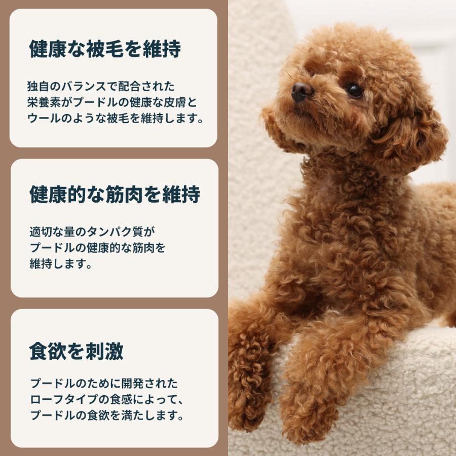ロイヤルカナン（ROYAL CANIN） 犬 ドッグフード ウェット プードル