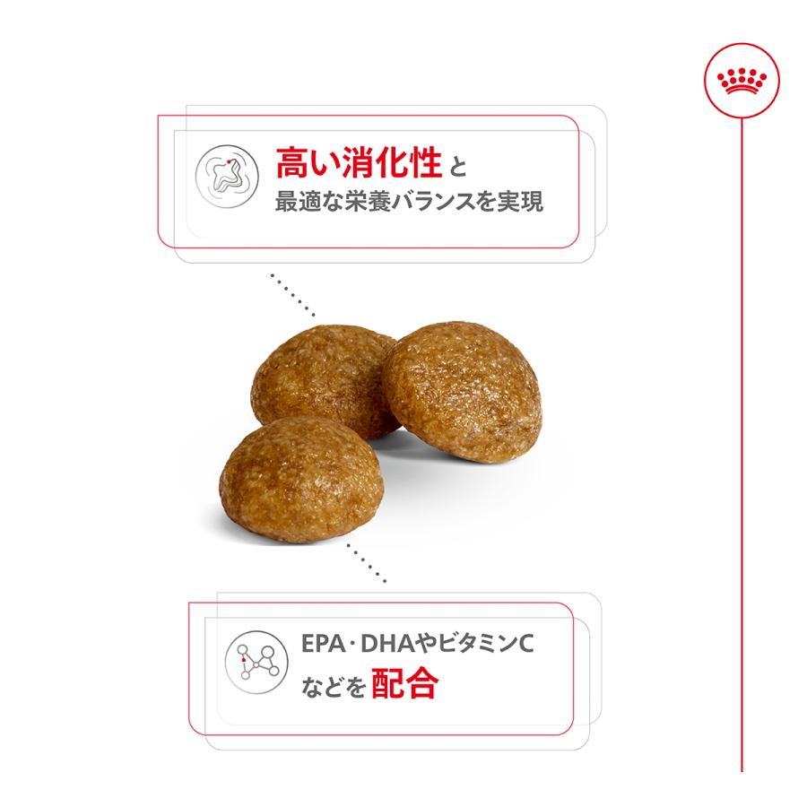 ロイヤルカナン（ROYAL CANIN） 犬 ドッグフード エクストラ スモール