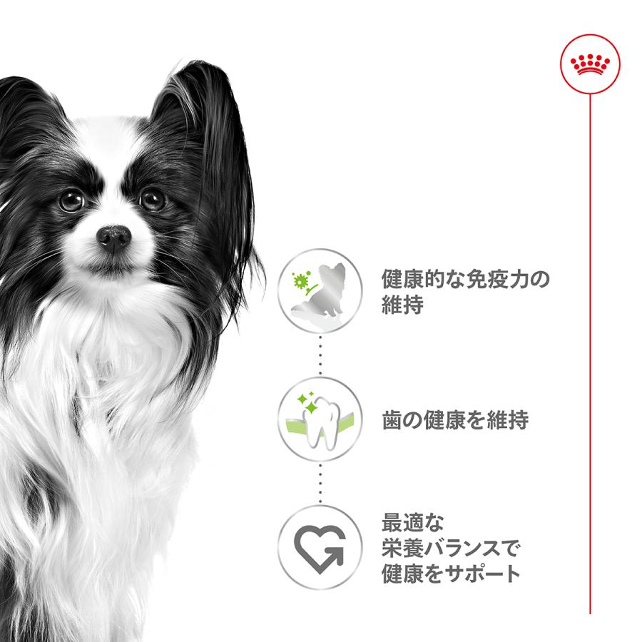 ロイヤルカナン　エクストラスモール　アダルト　10キロ ロイヤルカナン エクストラスモールアダルト（超小型犬）800g 【10か