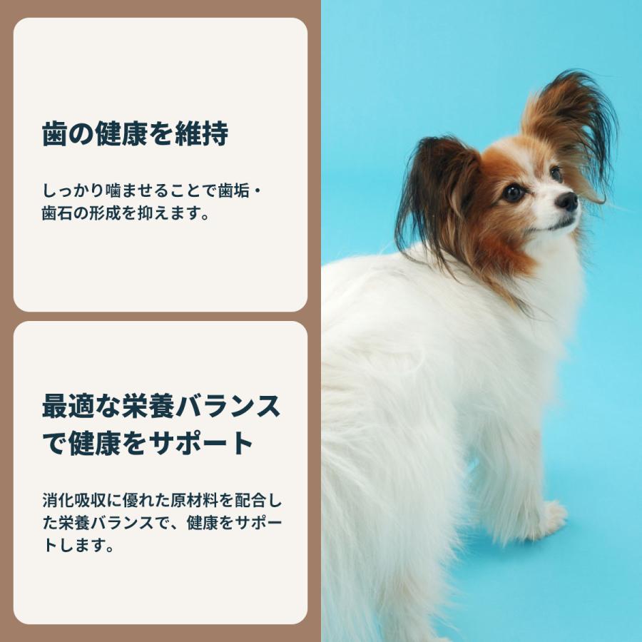ロイヤルカナン（ROYAL CANIN） 犬 ドッグフード エクストラ スモール
