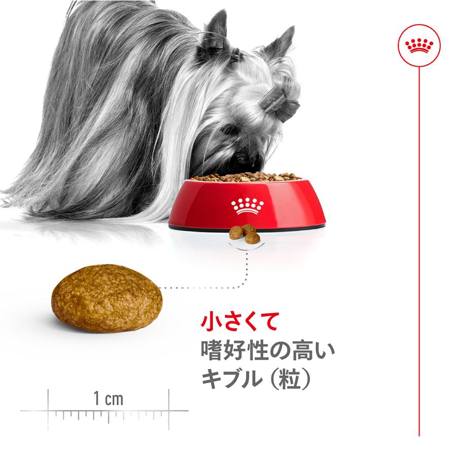 ロイヤルカナン（ROYAL CANIN） 犬 ドッグフード エクストラ スモール