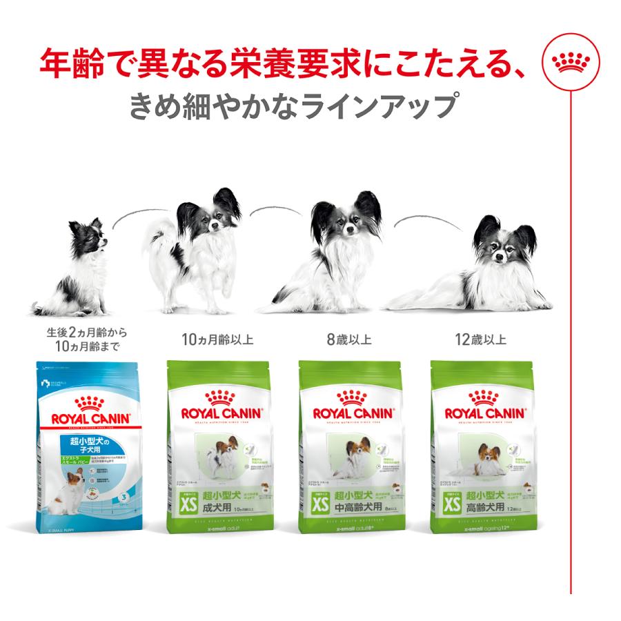 ロイヤルカナン（ROYAL CANIN） 犬 ドッグフード エクストラ スモール