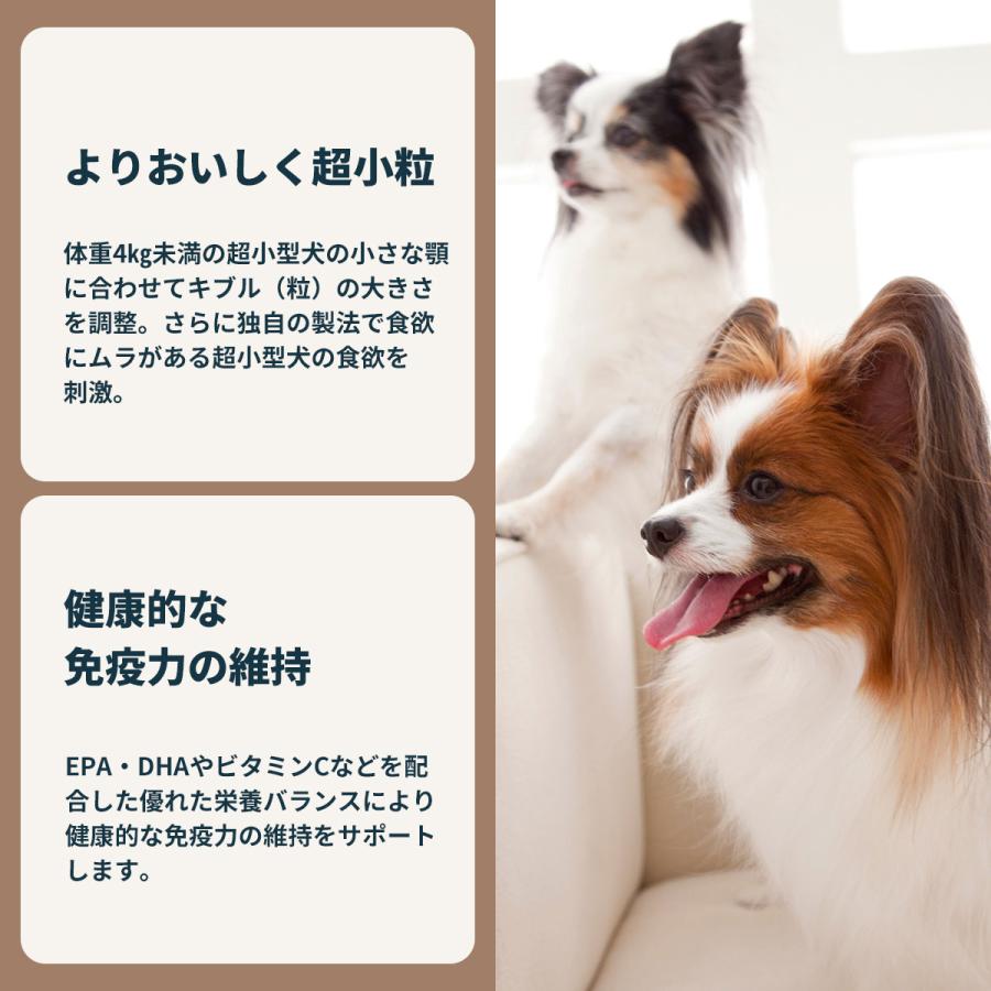 ロイヤルカナン（ROYAL CANIN） 犬 ドッグフード エクストラ スモール