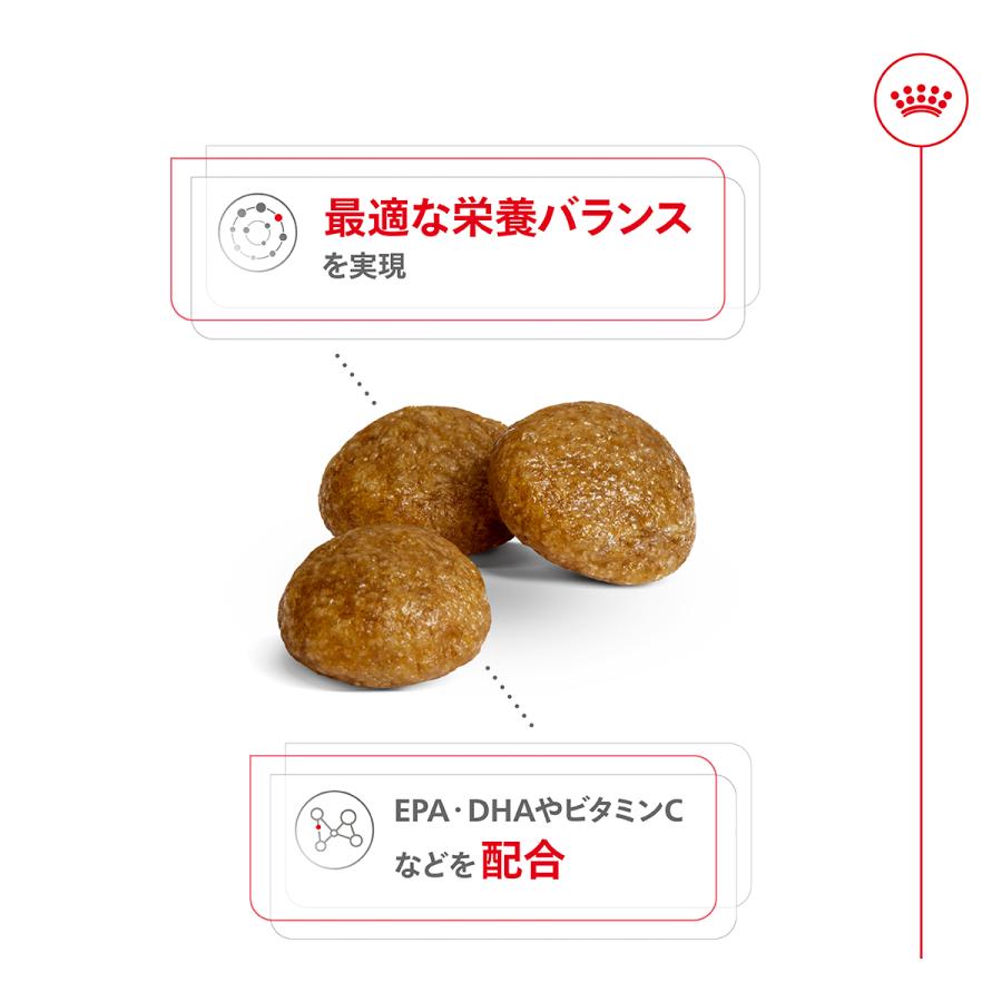 ロイヤルカナン（ROYAL CANIN） 犬 ドッグフード エクストラ スモール