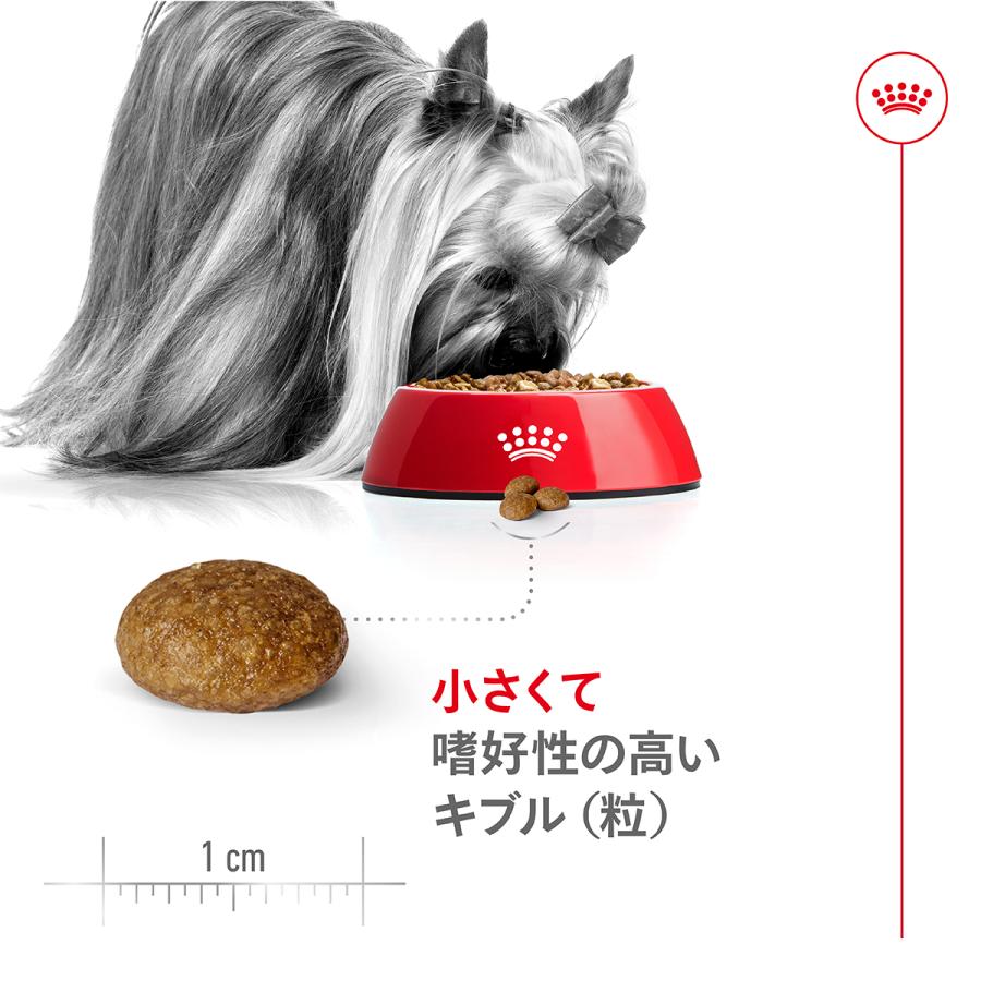 ロイヤルカナン（ROYAL CANIN） 犬 ドッグフード エクストラ スモール