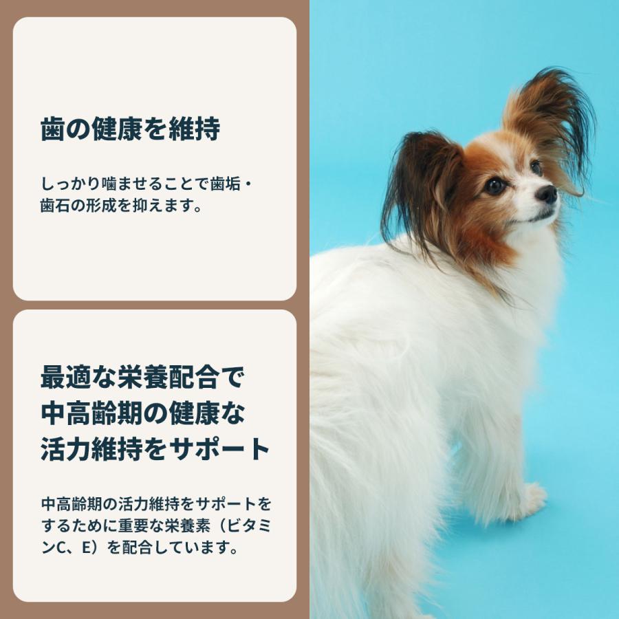 ロイヤルカナン（ROYAL CANIN） 犬 ドッグフード エクストラ スモール