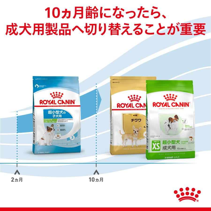 ロイヤルカナン（ROYAL CANIN） 犬 ドッグフード エクストラ スモール