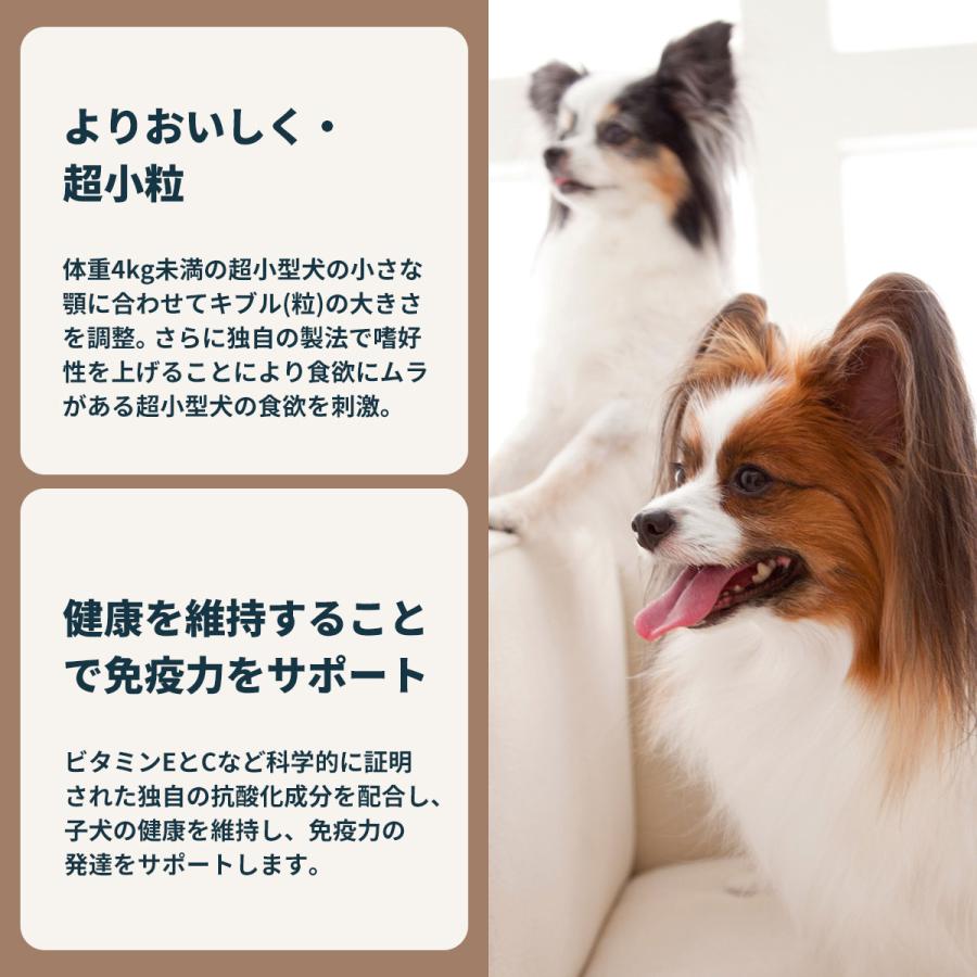 ロイヤルカナン（ROYAL CANIN） 犬 ドッグフード エクストラ スモール