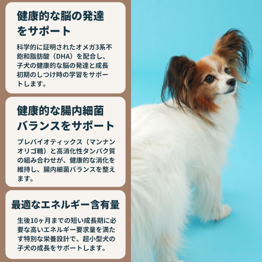 ロイヤルカナン（ROYAL CANIN） 犬 ドッグフード エクストラ スモール