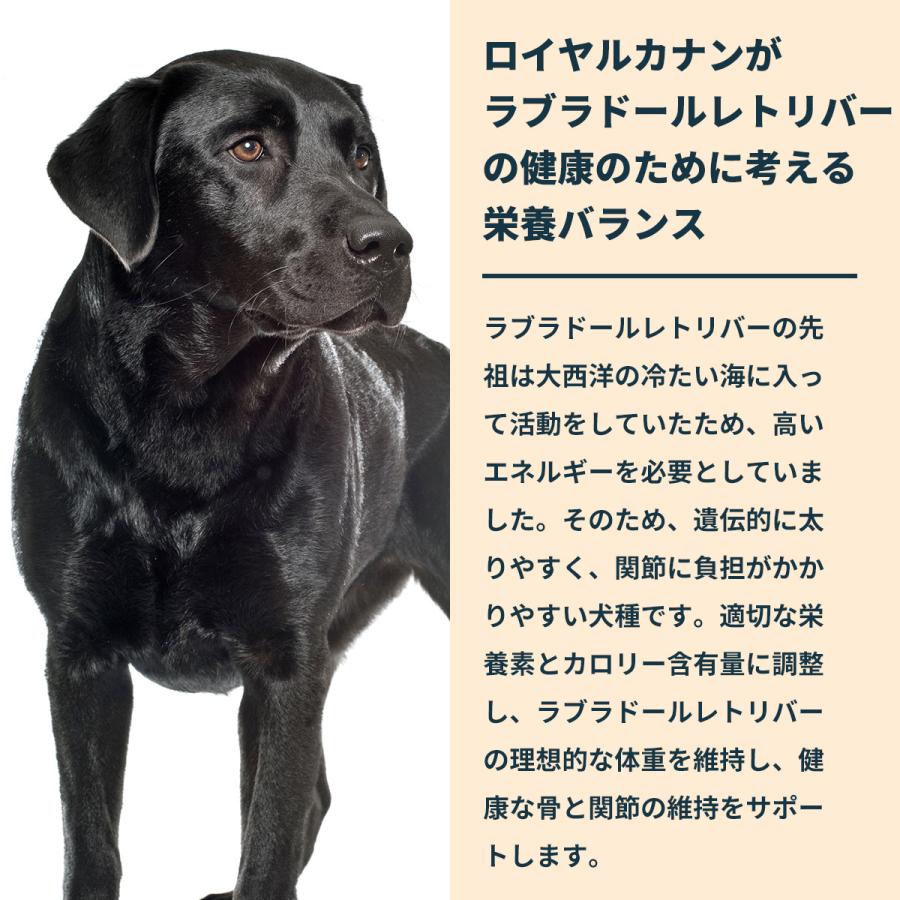 ロイヤルカナン（ROYAL CANIN） 犬 ドッグフード ラブラドール