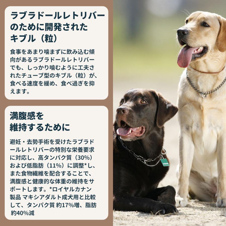 ロイヤルカナン（ROYAL CANIN） 犬 ドッグフード ラブラドール