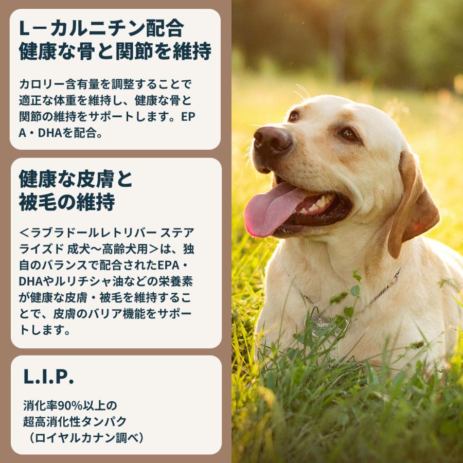 ロイヤルカナン（ROYAL CANIN） 犬 ドッグフード ラブラドール