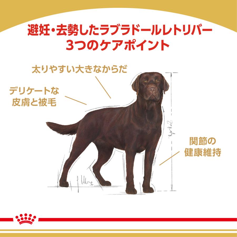 ロイヤルカナン（ROYAL CANIN） 犬 ドッグフード ラブラドール