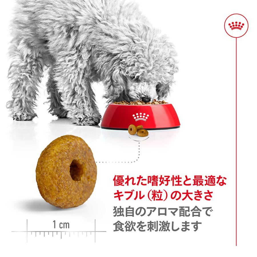 ロイヤルカナン 犬 ドッグフード ミニ インドア シニア 800g×10個 室内で生活する小型犬専用 中 高齢犬用の画像