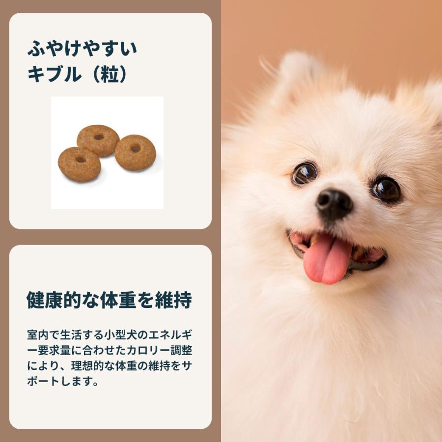 ロイヤルカナン 犬 ドッグフード ミニ インドア シニア 800g×10個 室内で生活する小型犬専用 中 高齢犬用の画像