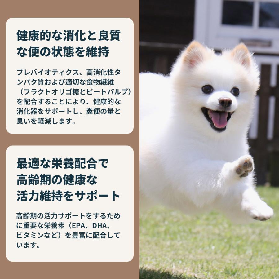 ロイヤルカナン 犬 ドッグフード ミニ インドア シニア 800g×10個 室内で生活する小型犬専用 中 高齢犬用の画像
