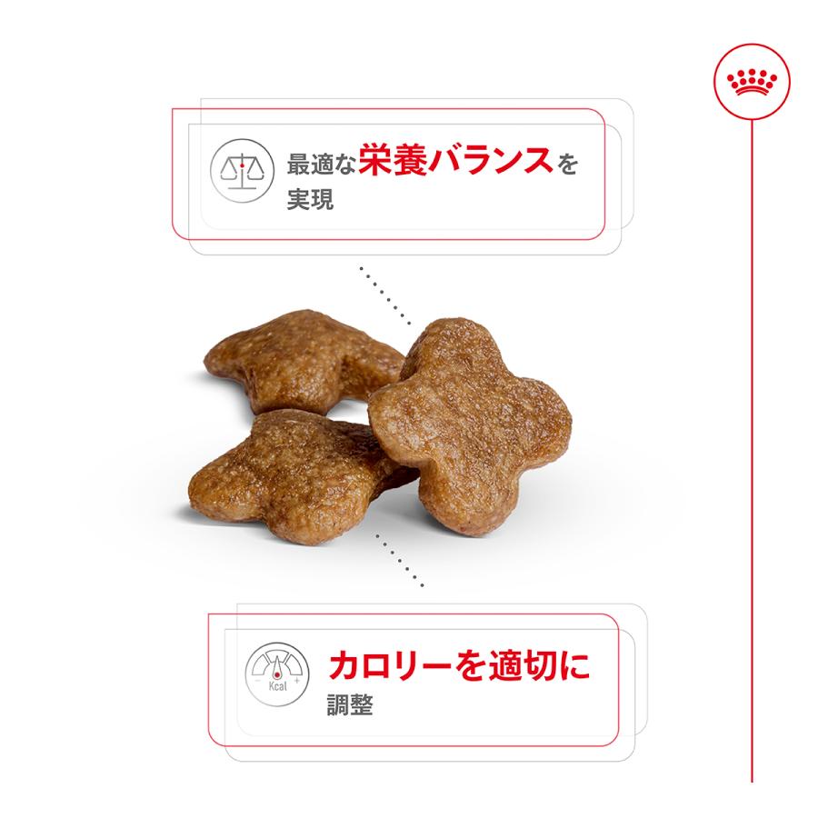 ロイヤルカナン（ROYAL CANIN） 犬 ドッグフード ミニ アダルト 8＋