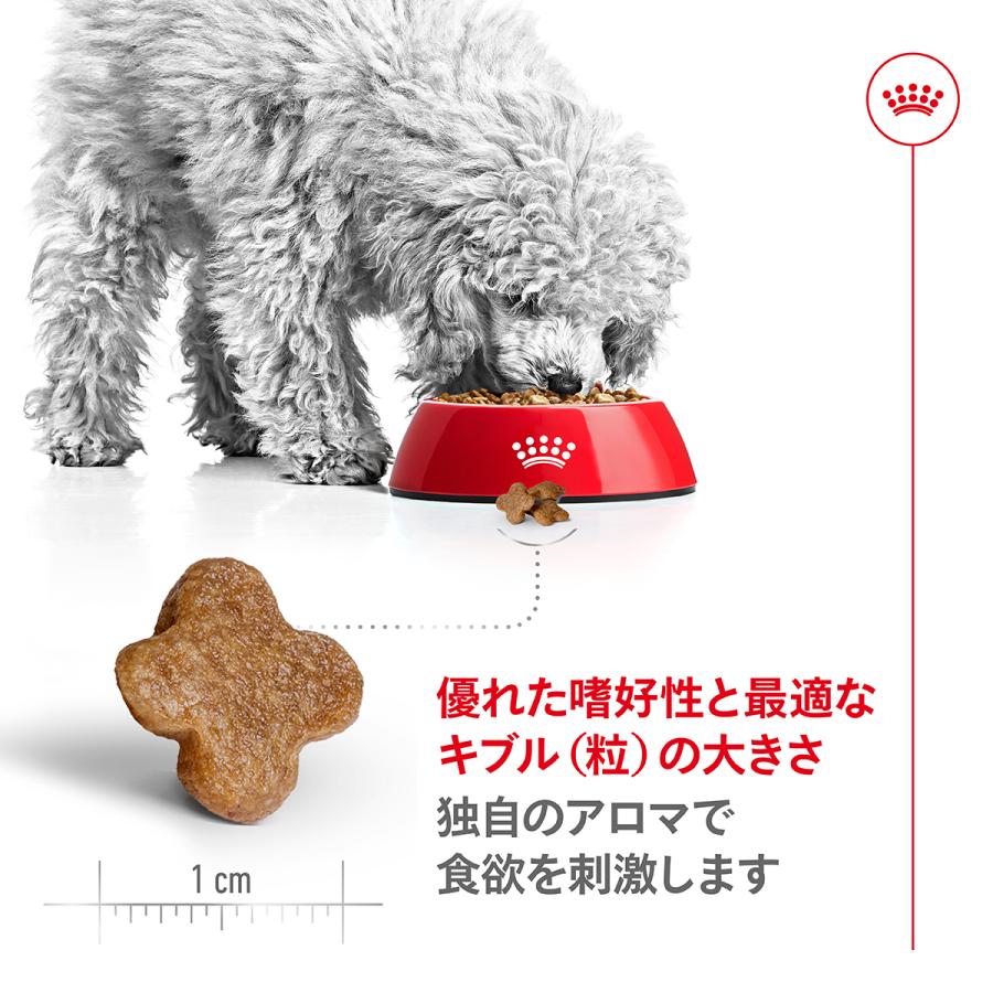 ロイヤルカナン（ROYAL CANIN） 犬 ドッグフード ミニ アダルト 8＋