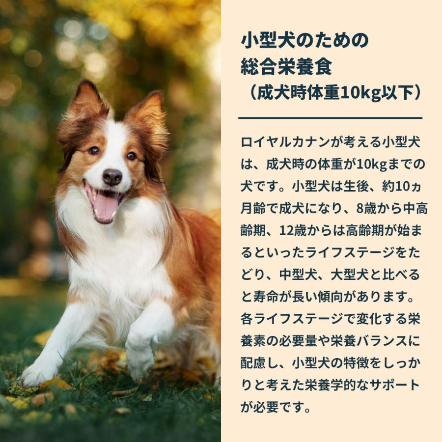 ロイヤルカナン 犬 ドッグフード ミニ エイジング 12＋ 800g×10個 小型犬専用フード 高齢犬用の画像