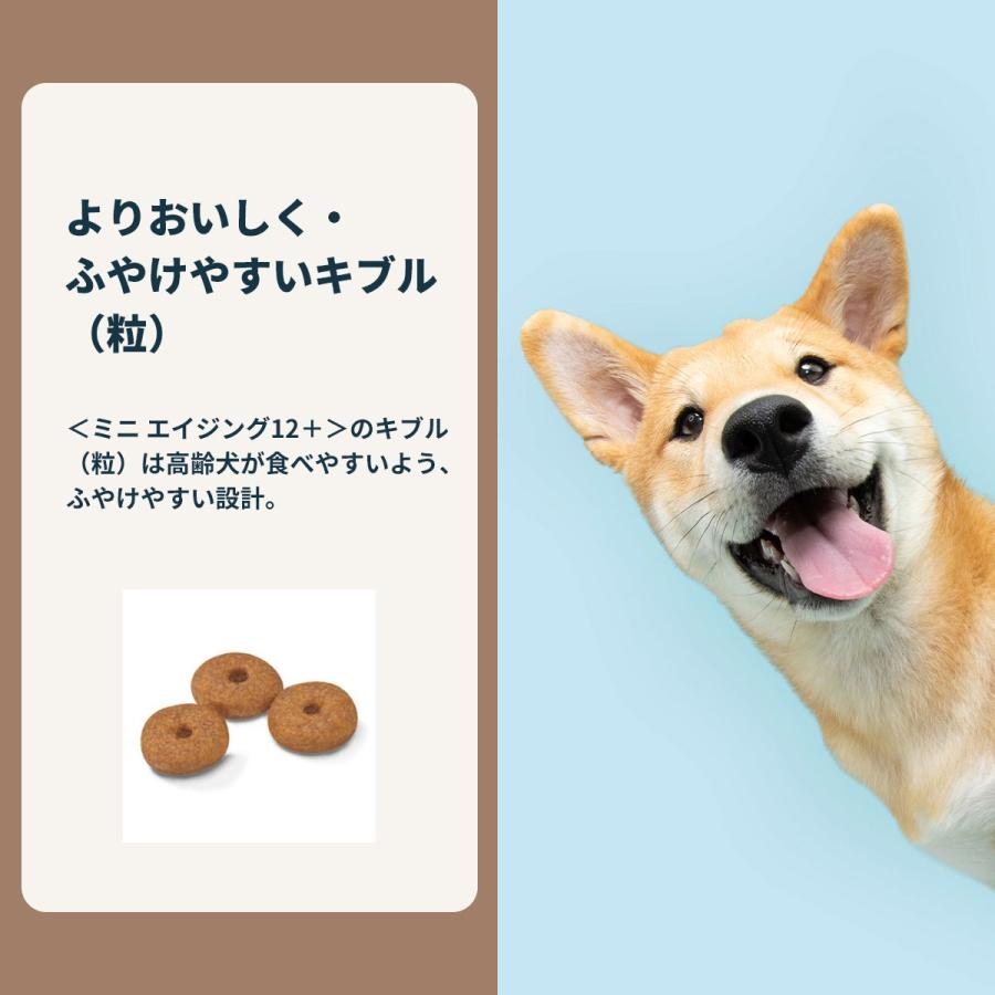 ロイヤルカナン 犬 ドッグフード ミニ エイジング 12＋ 800g×10個 小型犬専用フード 高齢犬用の画像