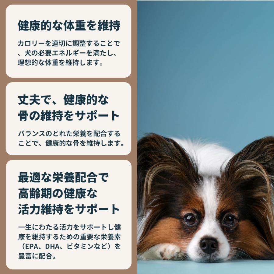 ロイヤルカナン 犬 ドッグフード ミニ エイジング 12＋ 800g×10個 小型犬専用フード 高齢犬用の画像