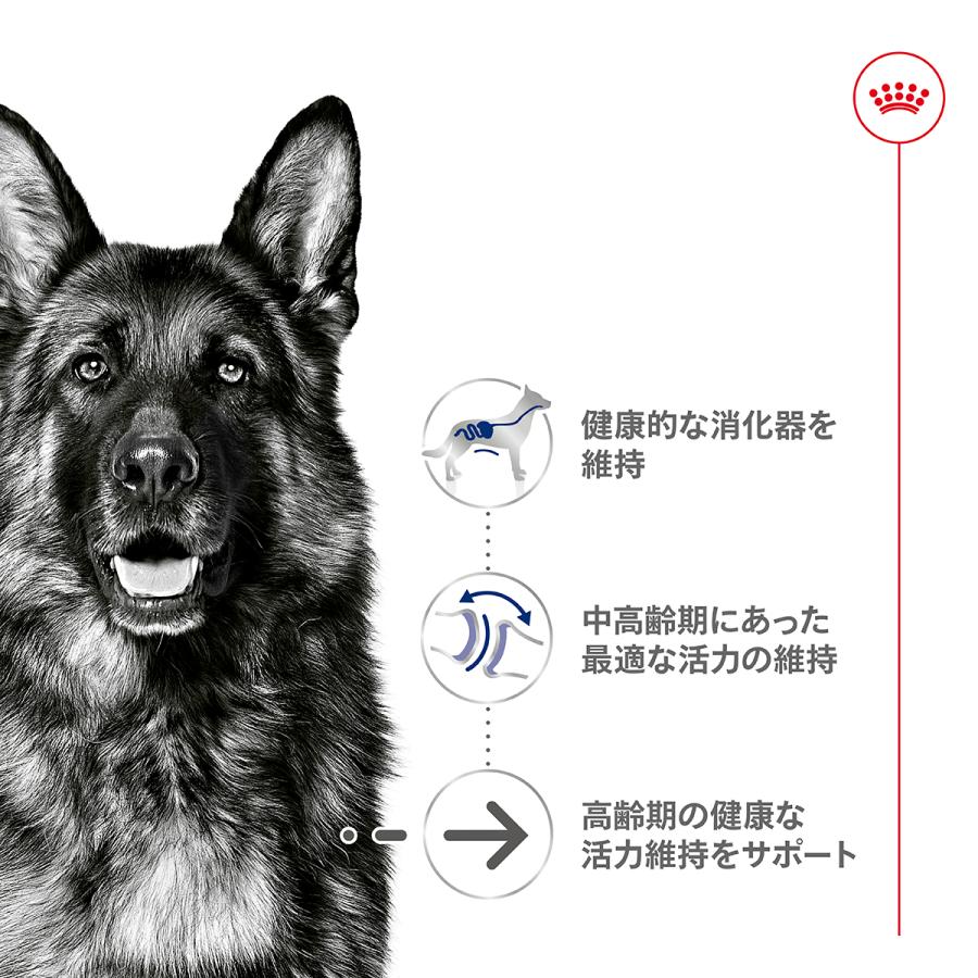 ロイヤルカナン（ROYAL CANIN） 犬 ドッグフード マキシ エイジング