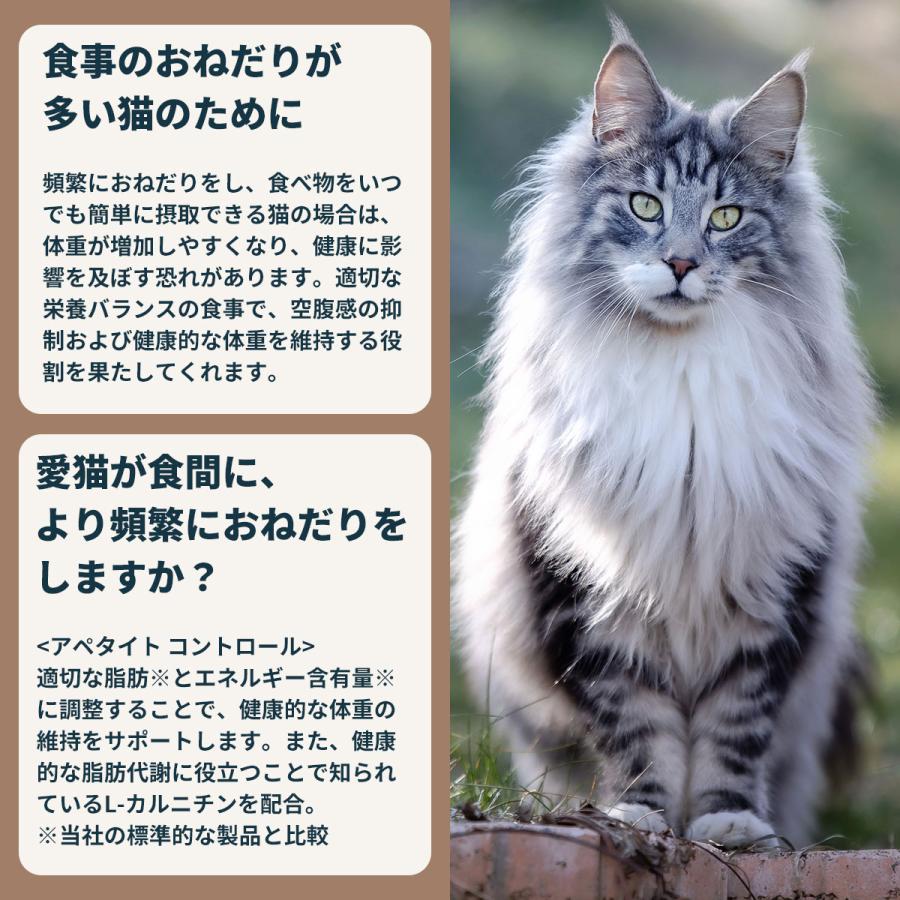 ロイヤルカナン（ROYAL CANIN） 猫 キャトフード アペタイト