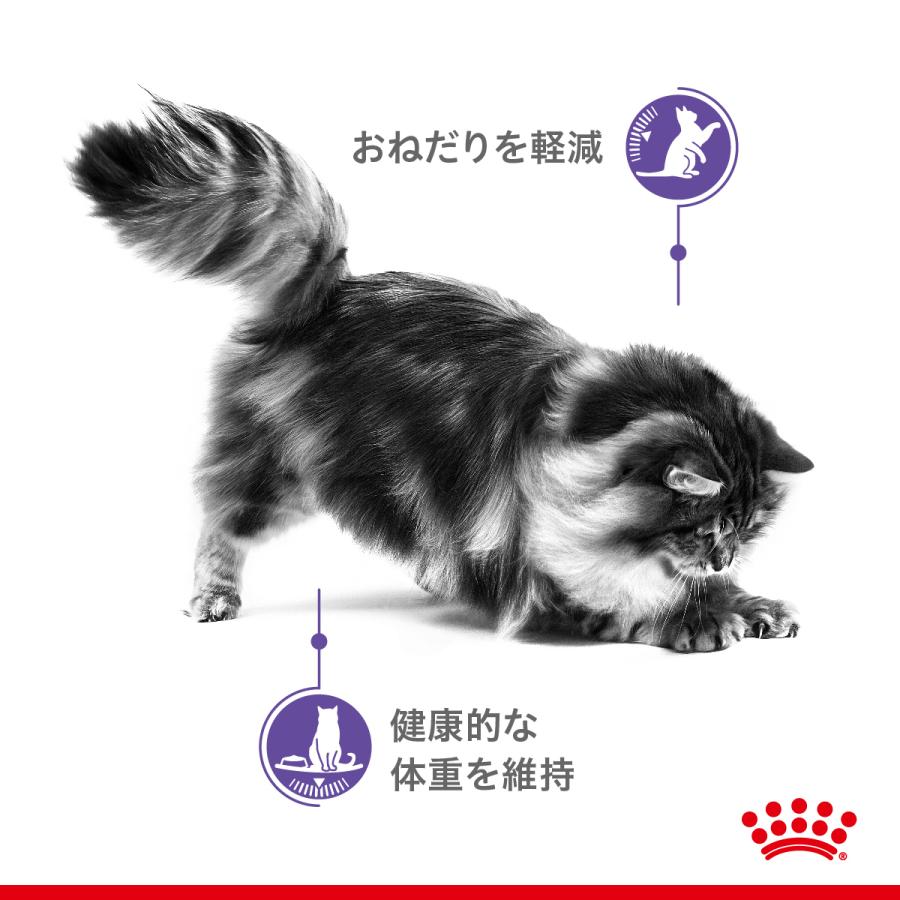 ロイヤルカナン 猫 アペタイトコントロール おねだりの多い成猫 ロイヤルカナン 猫 アペタイトコントロール おねだりの多い成猫