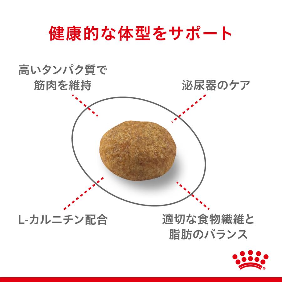 ロイヤルカナン 猫 キャットフード ステアライズド 400g×12袋 避妊 去勢で太りやすい猫専用フード 成猫用_3