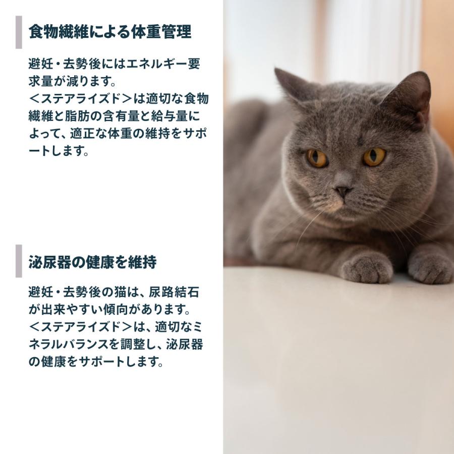 ロイヤルカナン（ROYAL CANIN） 猫 キャットフード ステアライズド 4kg