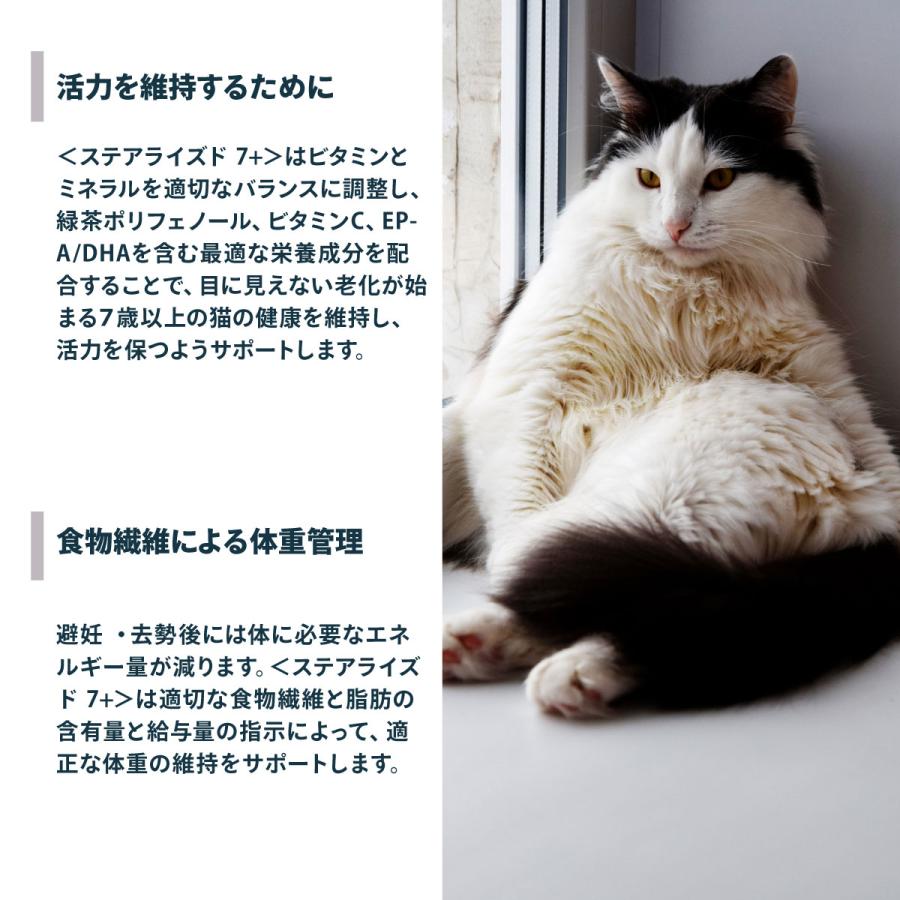 ロイヤルカナン（ROYAL CANIN） 猫 キャットフード ステアライズド7＋