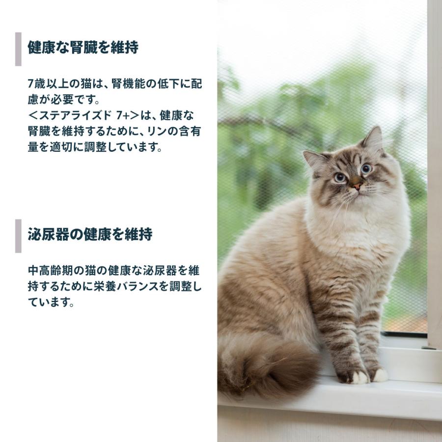 イルカ様ご専用【ステアライズド】 イルカ様ご専用【ステアライズド】 【公式通販】