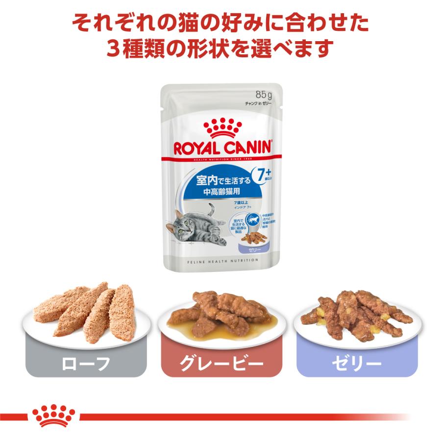 ロイヤルカナン（ROYAL CANIN） 猫 キャットフード ウェット インドア