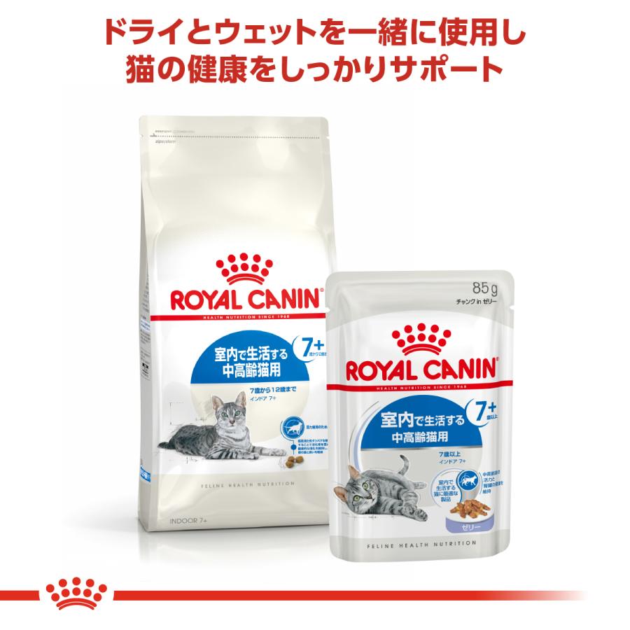 ロイヤルカナン（ROYAL CANIN） 猫 キャットフード ウェット インドア