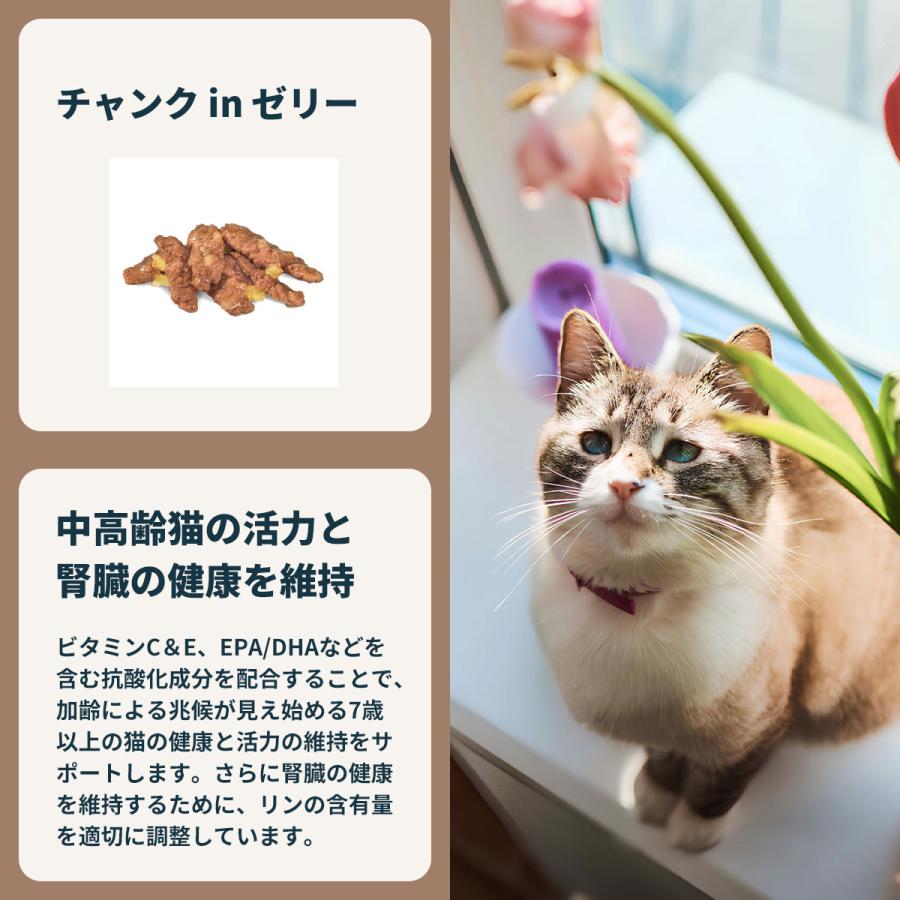 ロイヤルカナン（ROYAL CANIN） 猫 キャットフード ウェット インドア