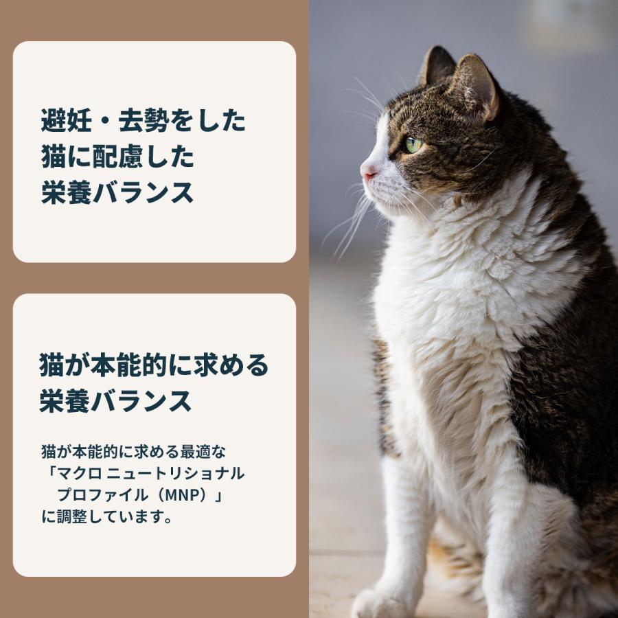 ロイヤルカナン（ROYAL CANIN） 猫 キャットフード ウェット インドア