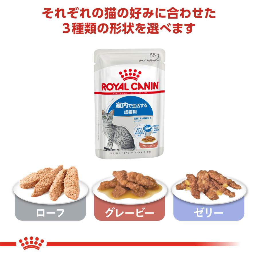 ロイヤルカナン（ROYAL CANIN） 猫 キャットフード ウェット インドア