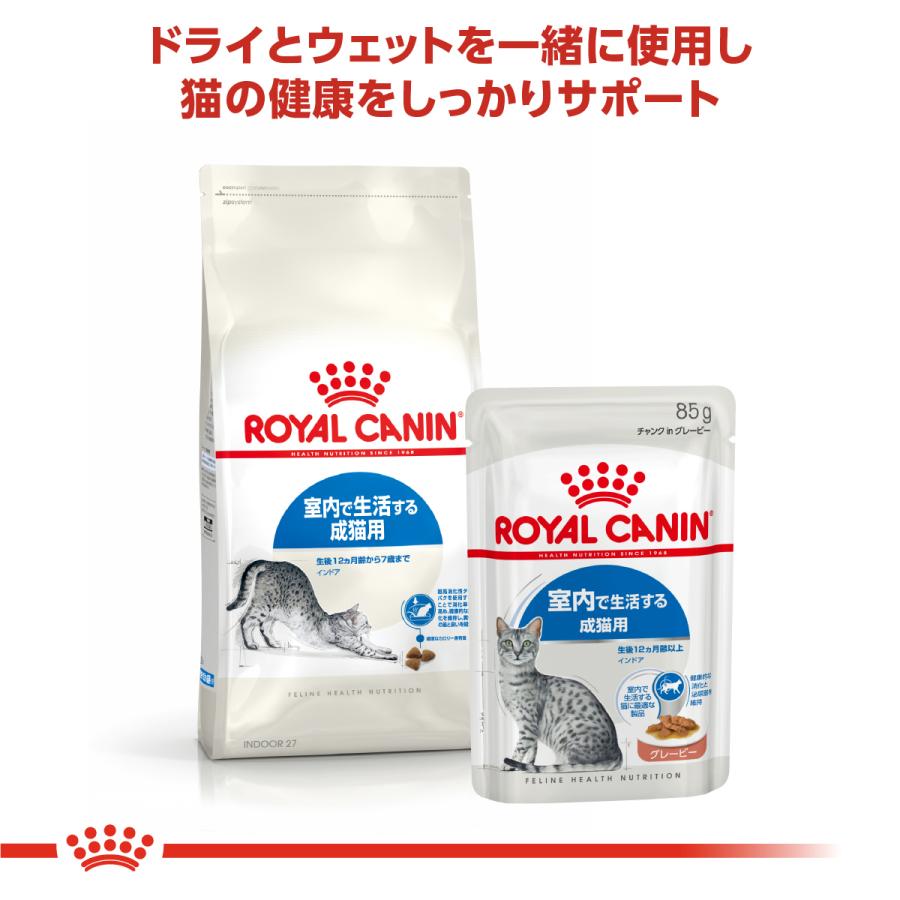 ロイヤルカナン インドアグレービー36個 ロイヤルカナン インドア グレービー」の人気商品一覧 | 安い商品を
