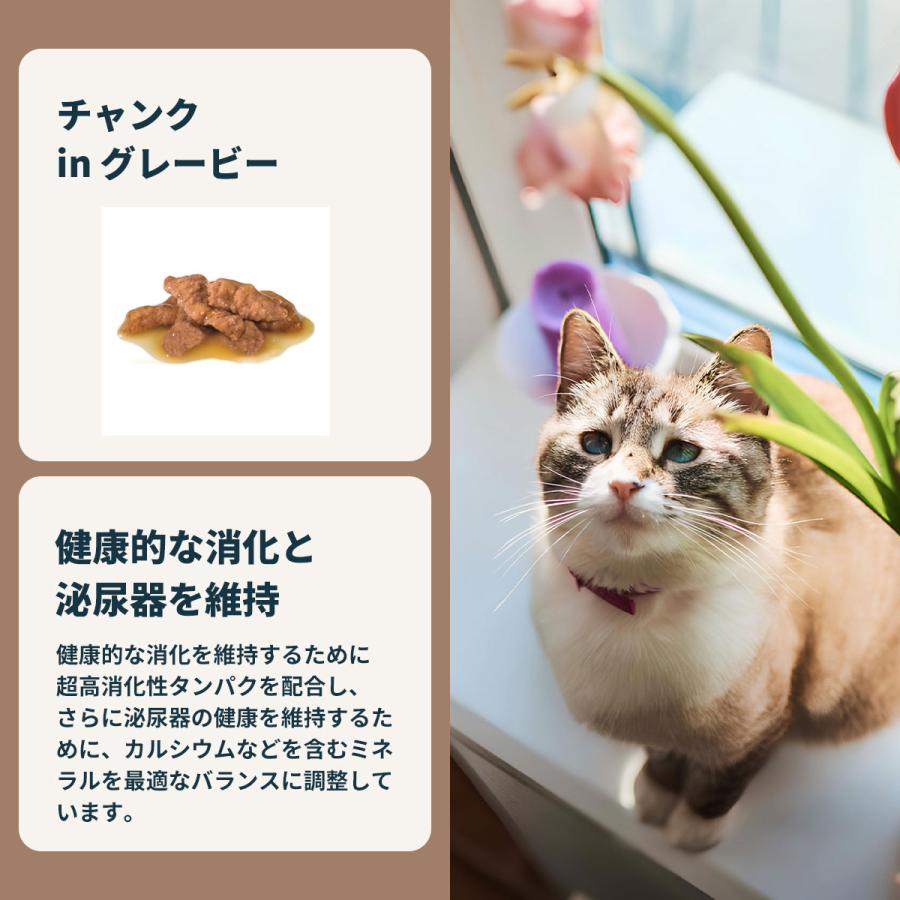 ロイヤルカナン（ROYAL CANIN） 猫 キャットフード ウェット インドア